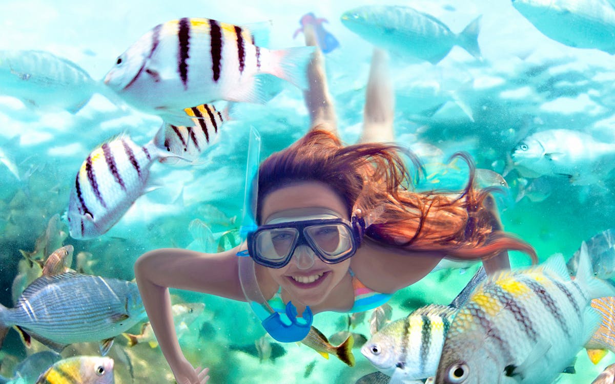 xel há: all inclusive 1-day park with buffet lunch-8 xel há: all inclusive 1-day park with buffet lunch-8