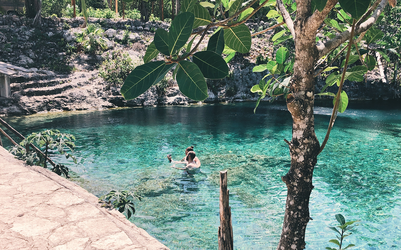 Swimming in a cenote surrounded by lush greenery in Tulum, Mexico.