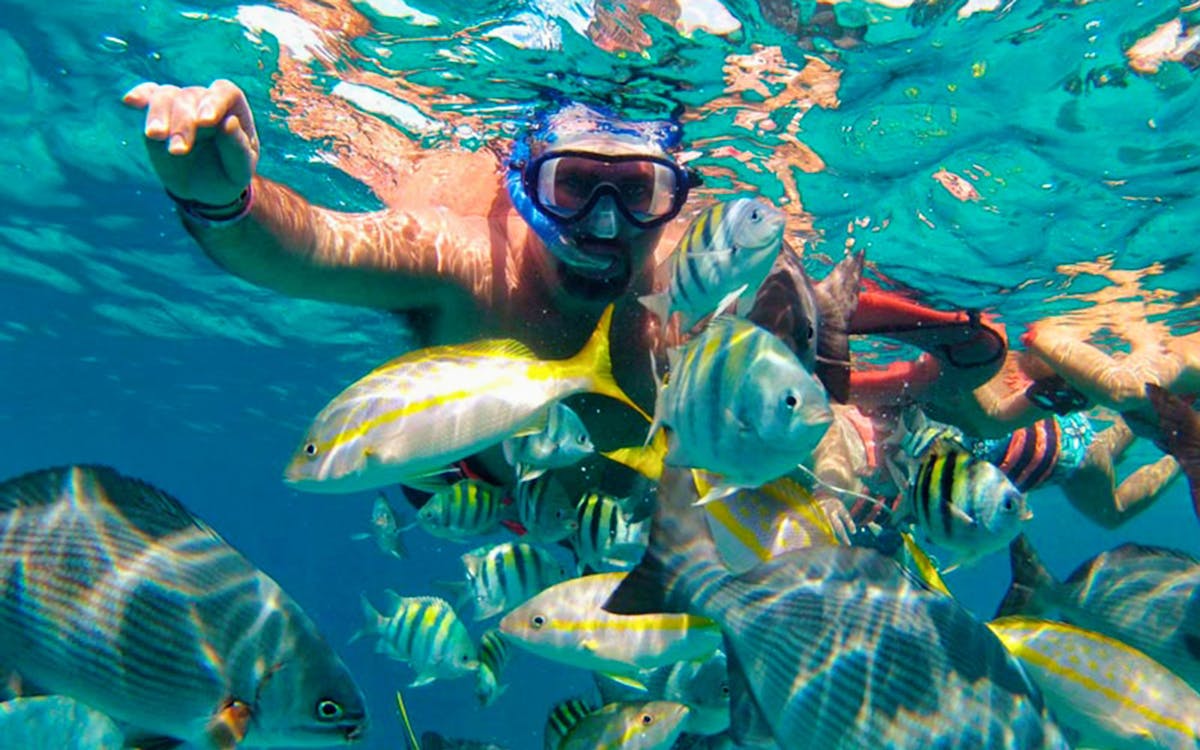 all-inclusive catamaran to isla mujeres tour-4 all-inclusive catamaran to isla mujeres tour-4