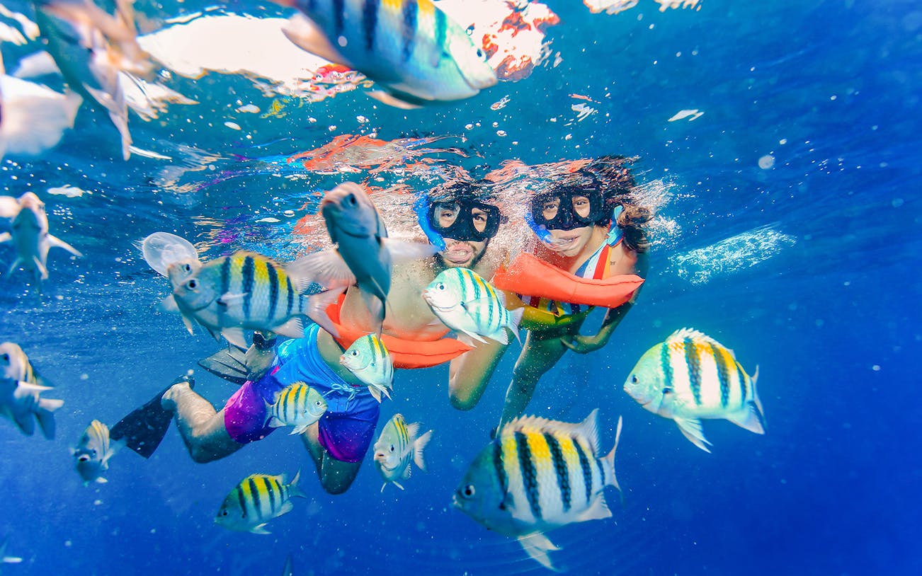 Snorkelers swimming with tropical fish in clear waters during Premium Isla Mujeres Experience.