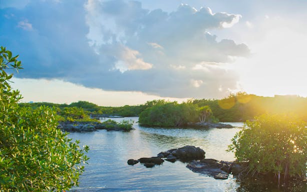 Cenote dive and zip line experience in Cancun's Mayan Adventure tour.