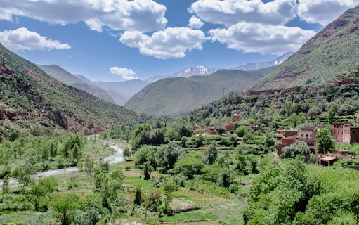 Ourika Valley landscape with lush greenery and distant Atlas Mountains, Morocco.