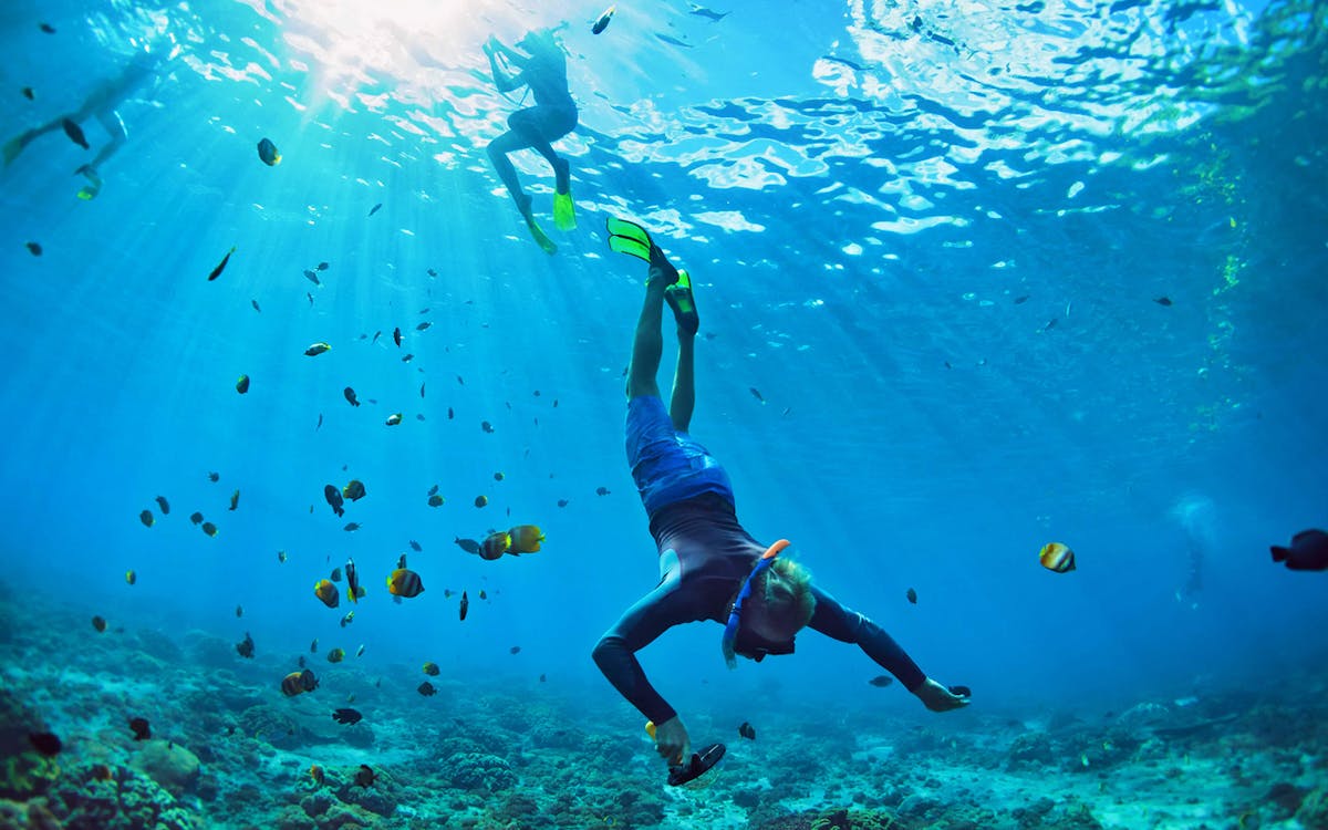 full day guided tour of pattaya beach & coral island (koh larn) from bangkok-3 full day guided tour of pattaya beach & coral island (koh larn) from bangkok-3