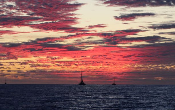 Sailboats on ocean at sunset, Cabo San Lucas.