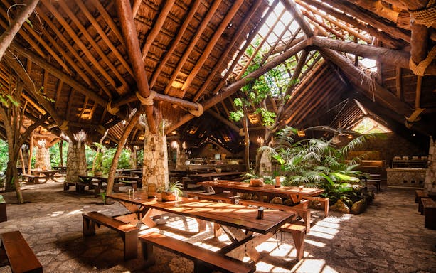 Open-air dining area with wooden tables and lush greenery at Xplor Park.