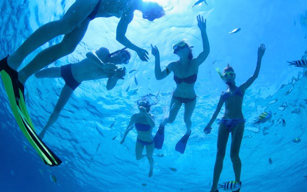 Snorkelers exploring underwater in Cabo San Lucas during a luxury day sailing tour.