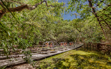 Visitors driving amphibious vehicles through lush jungle at Xplor Park.