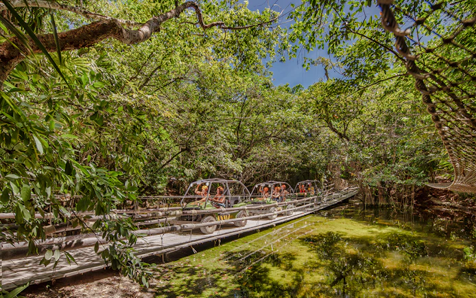 Visitors driving amphibious vehicles through lush jungle at Xplor Park.