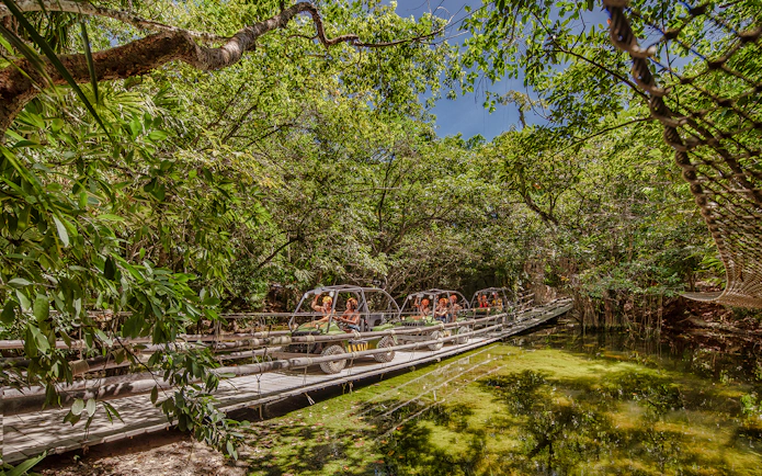 Visitors driving amphibious vehicles through lush jungle at Xplor Park.