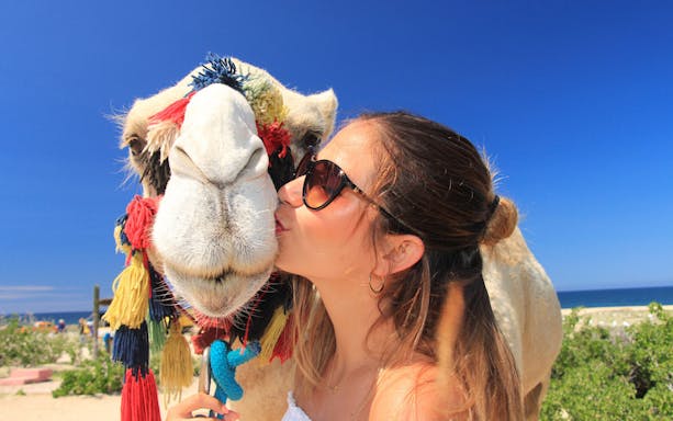 Woman kissing a decorated camel on a Cabo San Lucas desert safari.