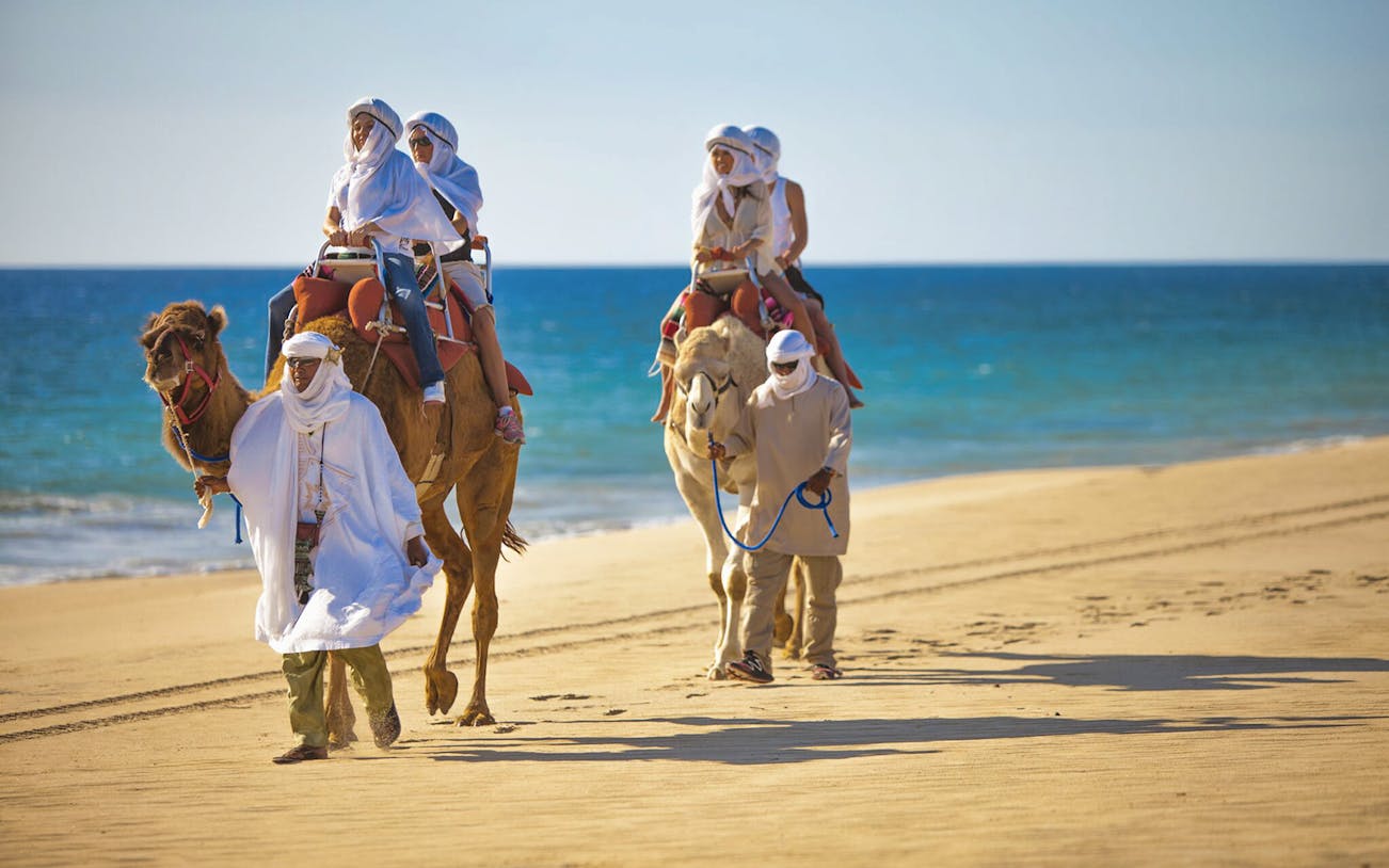 Camel ride along Cabo San Lucas beach during Baja Desert Safari.