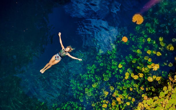 Person floating in a cenote at Xenotes Park, surrounded by clear water and green foliage.