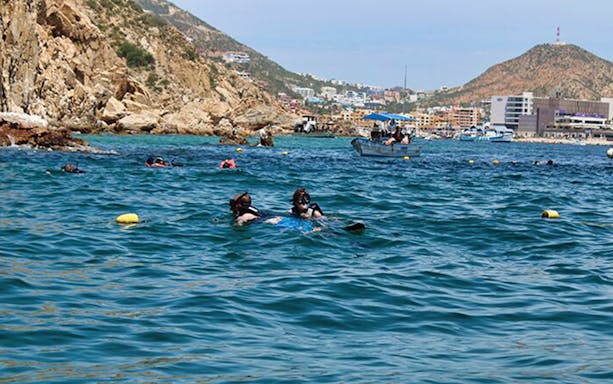 Snorkelers exploring vibrant marine life in Cabo San Lucas's Aquarium of the World.