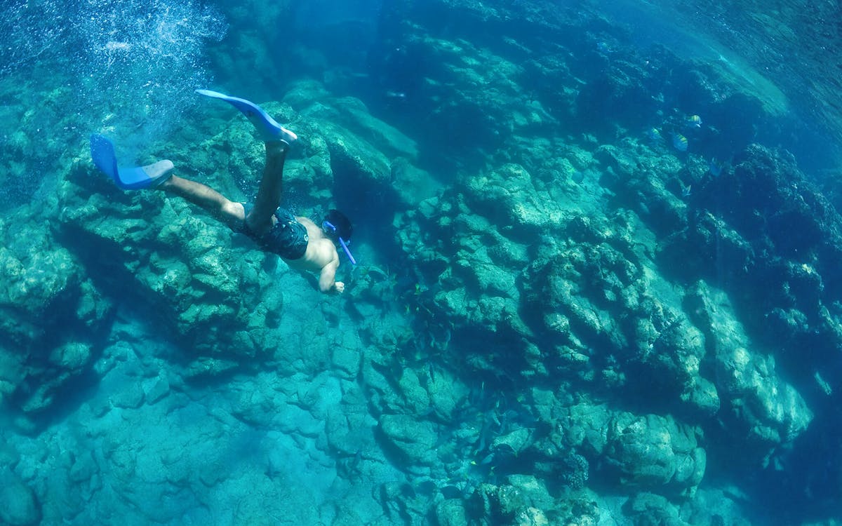 cabo san lucas: sea of cortez snorkeling adventure-7 cabo san lucas: sea of cortez snorkeling adventure-7