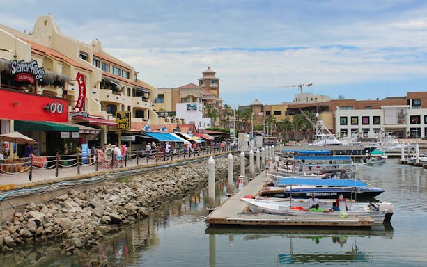 Los Cabos marina with boats docked and shops along the waterfront.