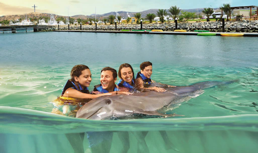 Cabo Attraction Tickets