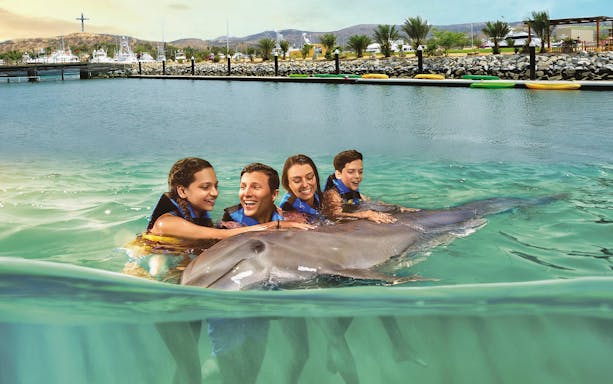 Group enjoying dolphin encounter in Los Cabos marina.