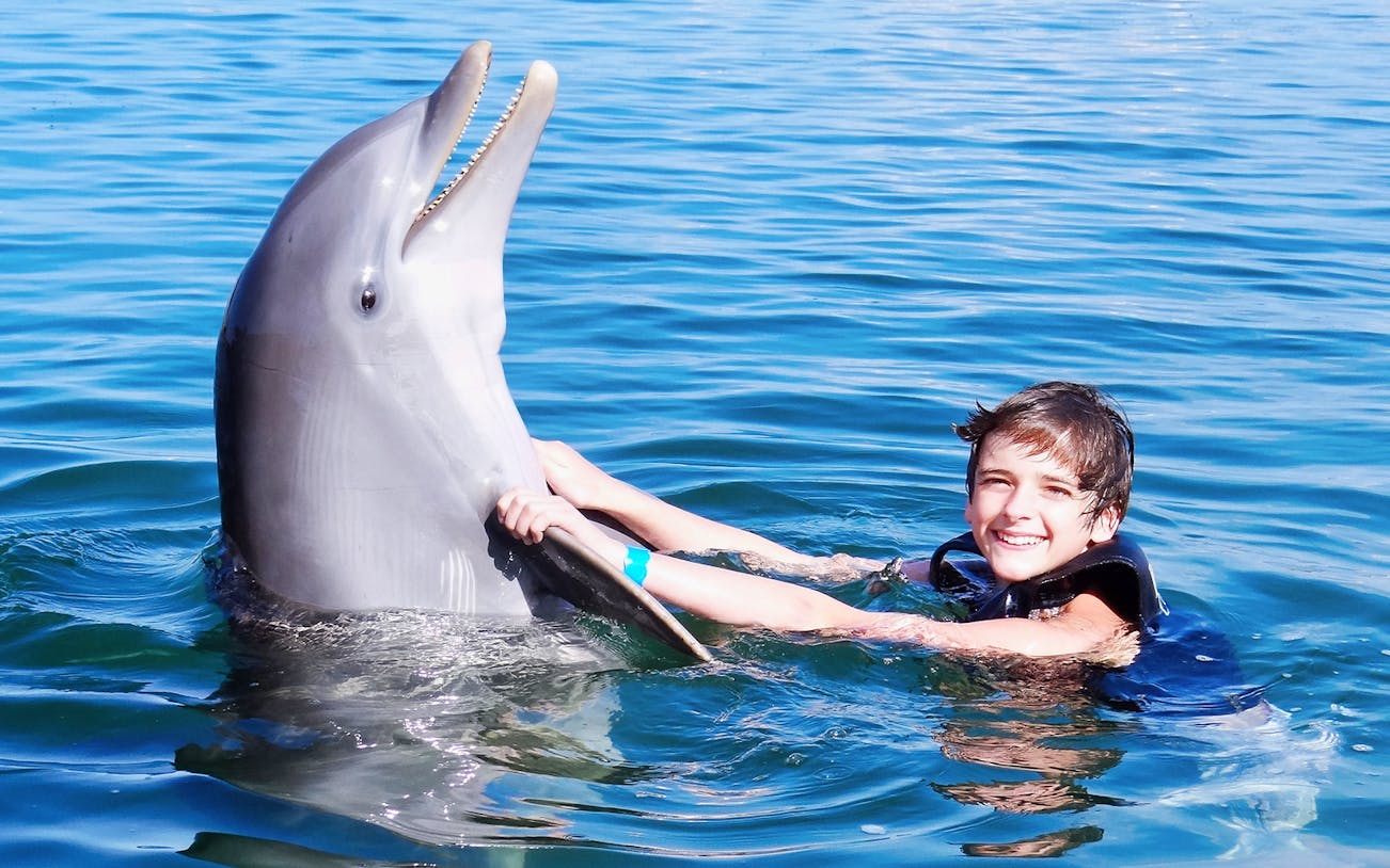 Child interacting with dolphin in Los Cabos water.