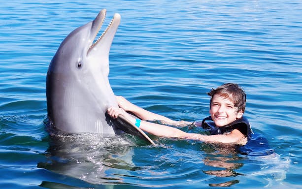 Child interacting with dolphin in Los Cabos water.