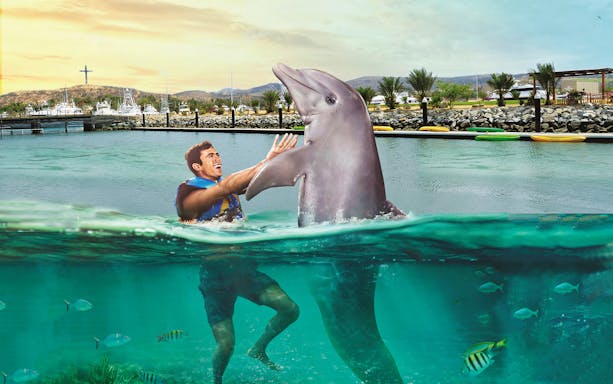 Man swimming with a dolphin in Los Cabos marina, Mexico.