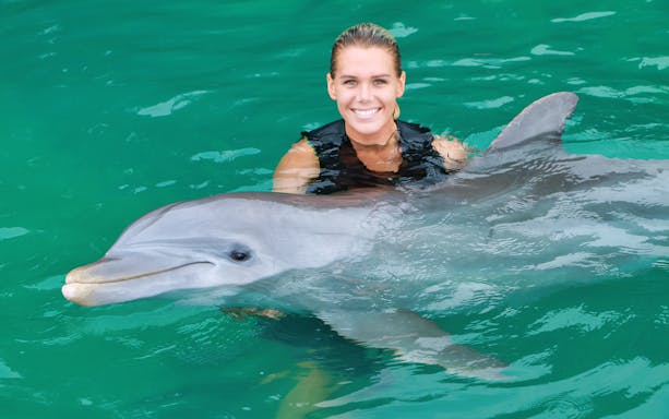 Person swimming with a dolphin in Los Cabos.