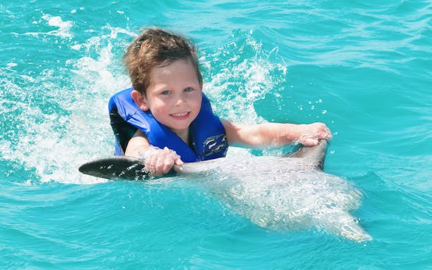 Child enjoying a dolphin swim in Los Cabos.