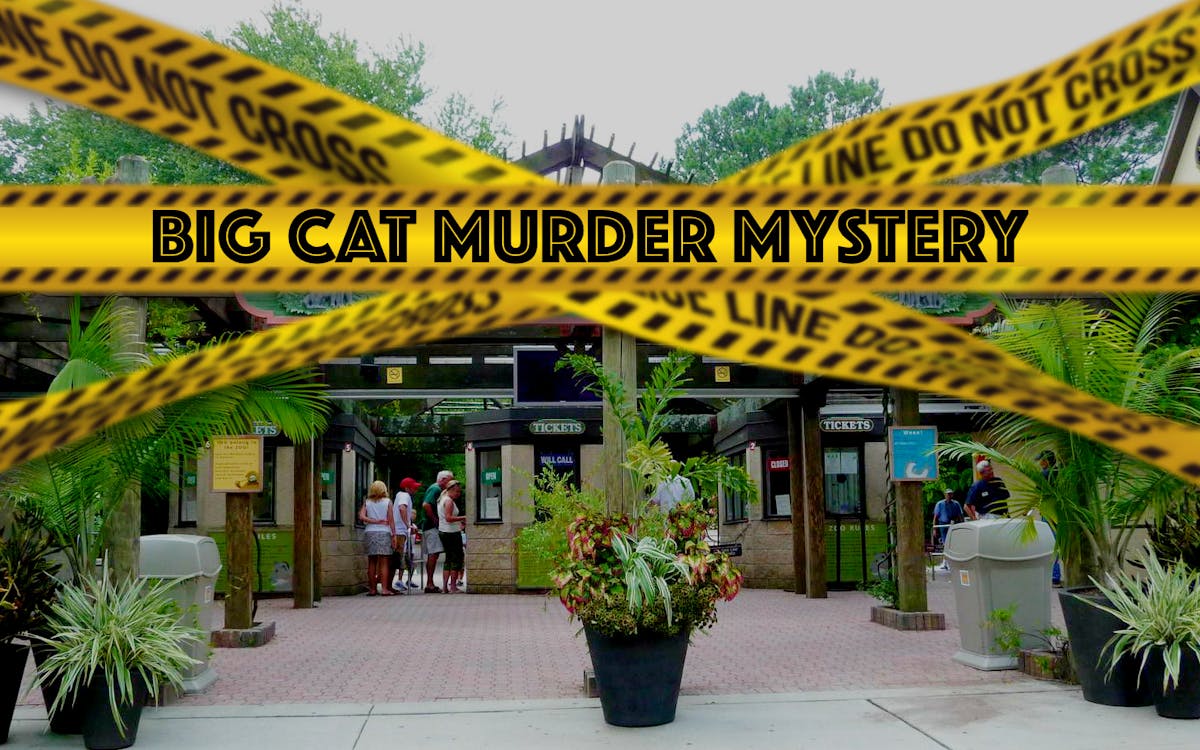 tiger king: murder mystery experience-1 tiger king: murder mystery experience-1