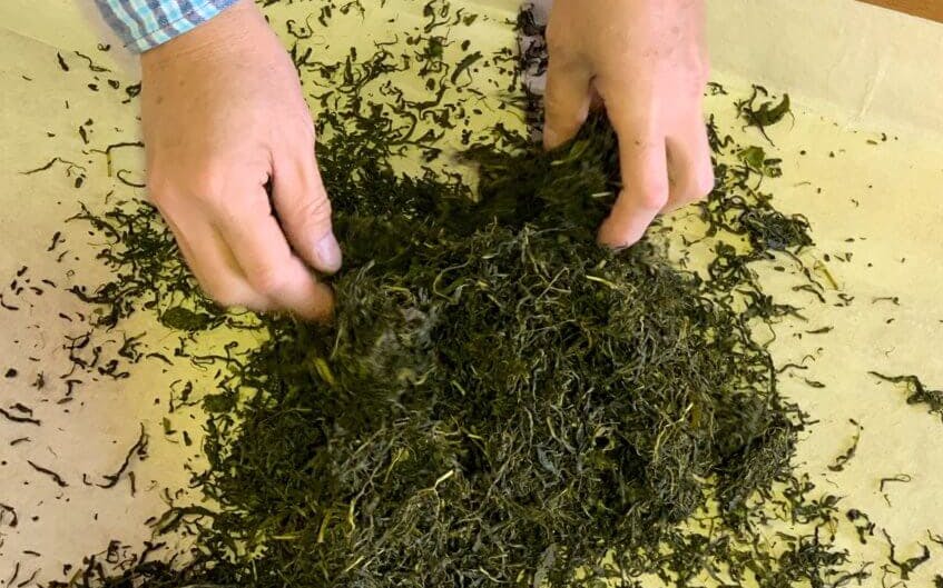 tokyo online: green teatime in japan-2 tokyo online: green teatime in japan-2