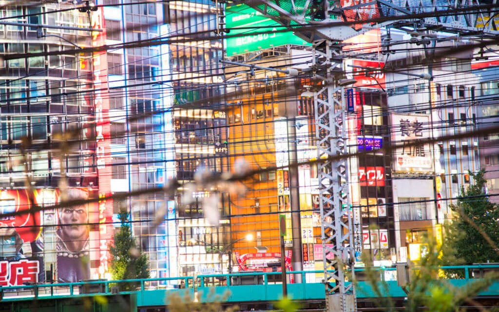 tokyo online: virtual experience in shibuya and shinjuku with a local expert-2 tokyo online: virtual experience in shibuya and shinjuku with a local expert-2