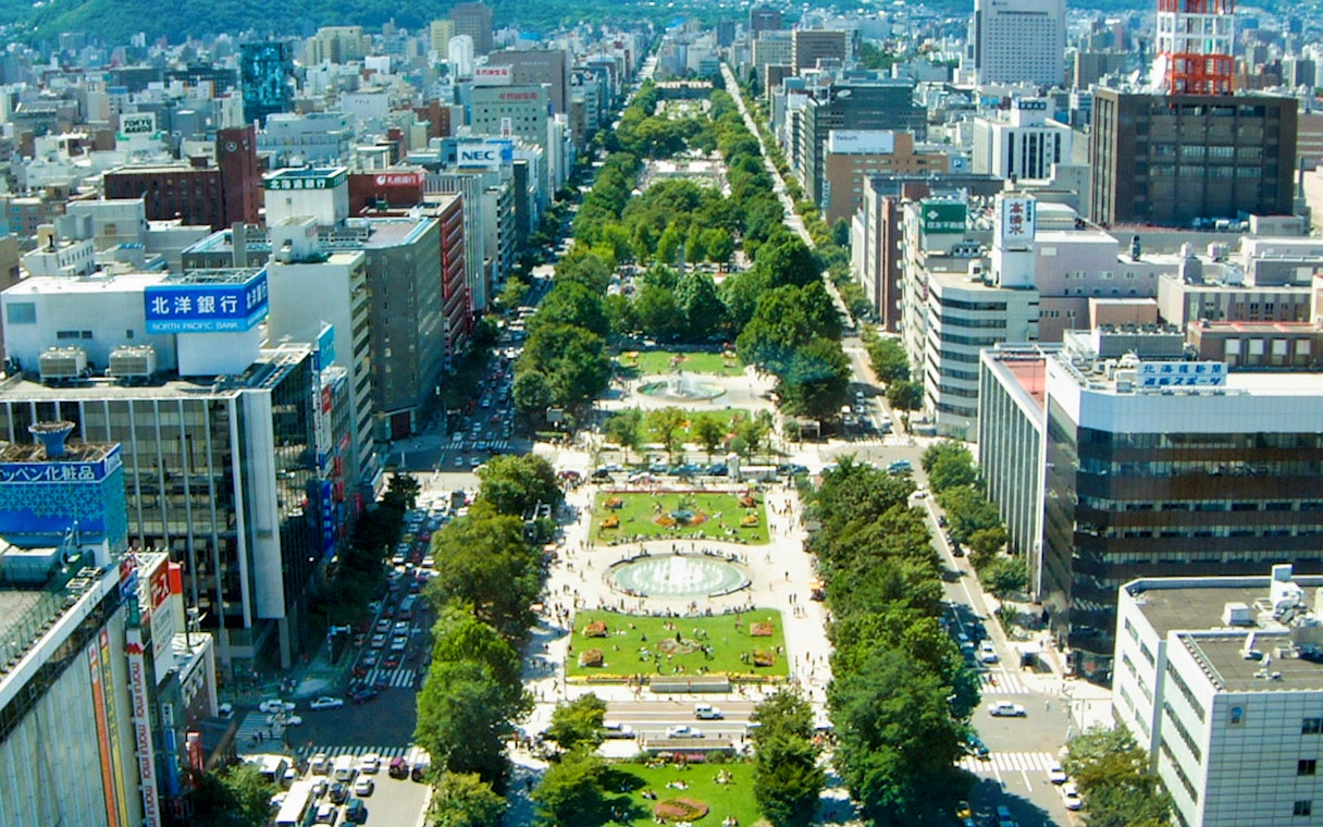 Aerial view of Odori Park in Sapporo with cityscape, seen from Sapporo TV Tower.