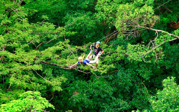 Two people ziplining through lush jungle canopy at Elephant Jungle Sanctuary.