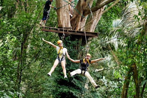 Elephant Jungle Sanctuary Experience