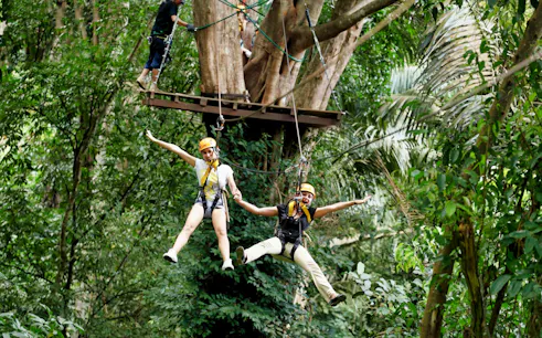 People ziplining through lush jungle at Elephant Jungle Sanctuary.