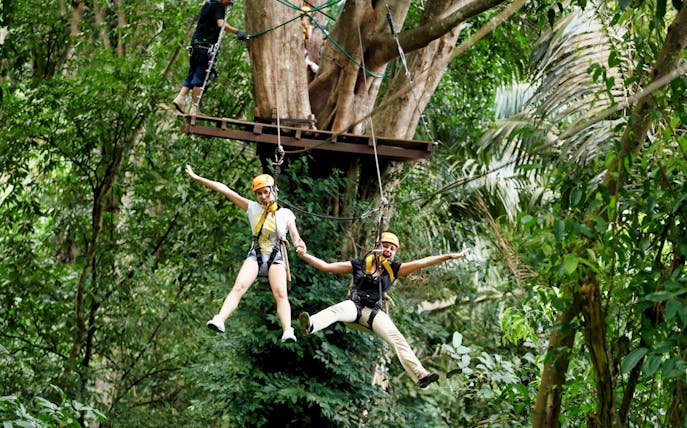 People ziplining through lush jungle at Elephant Jungle Sanctuary.