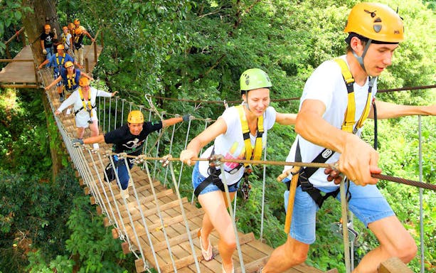Visitors crossing a rope bridge in a lush forest during the Elephant Jungle Sanctuary Experience.