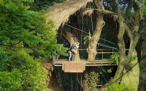 Ziplining platform in lush jungle at Elephant Jungle Sanctuary Experience.