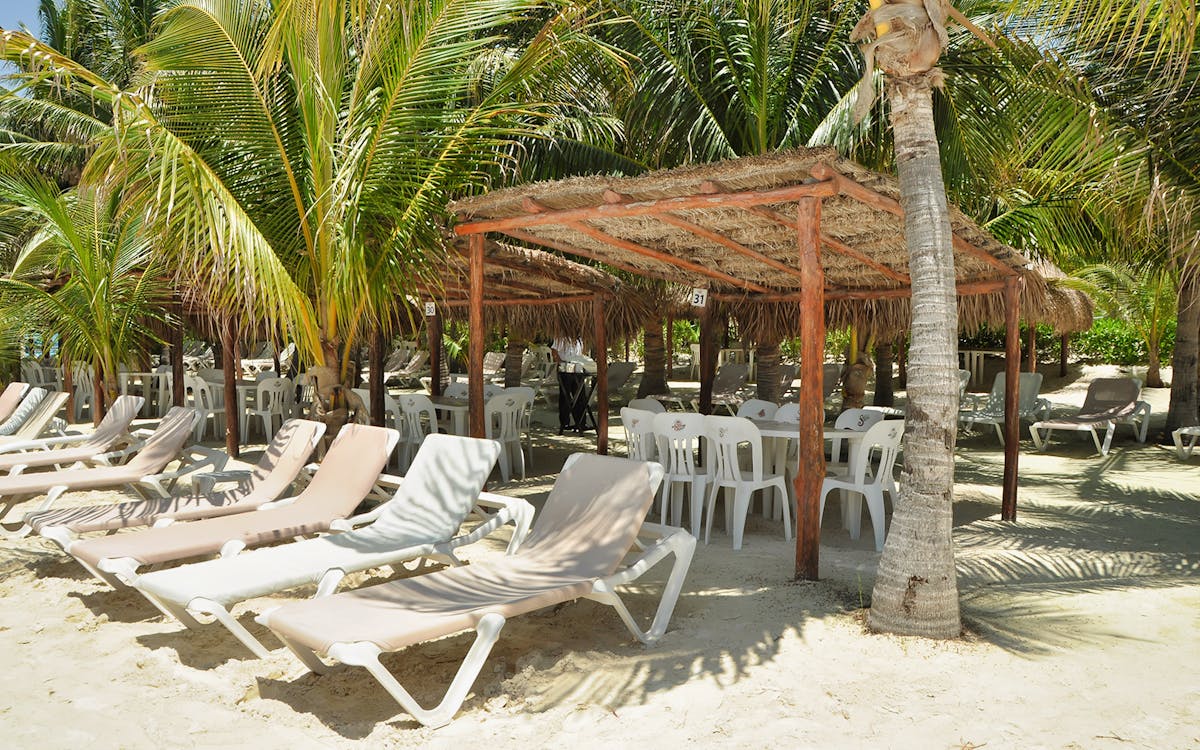 playa del carmen: dolphin encounter with traditional meals-9 playa del carmen: dolphin encounter with traditional meals-9
