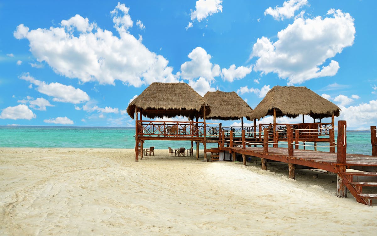 playa del carmen: dolphin encounter with traditional meals-8 playa del carmen: dolphin encounter with traditional meals-8