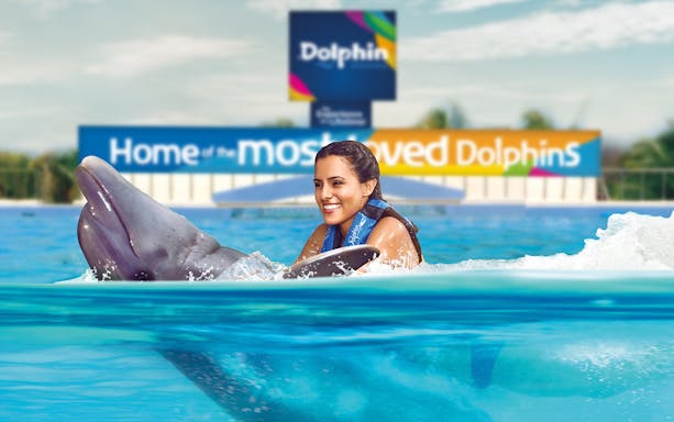 Dolphin encounter experience in Playa del Carmen with participant in water.