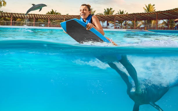 Person enjoying a dolphin ride in a pool at Playa del Carmen.