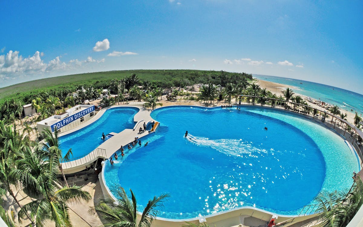 playa del carmen: dolphin encounter with traditional meals-7 playa del carmen: dolphin encounter with traditional meals-7