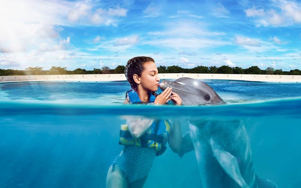 Person swimming with a dolphin in Playa del Carmen.