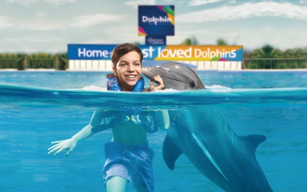 Child swimming with dolphin at Playa del Carmen attraction.