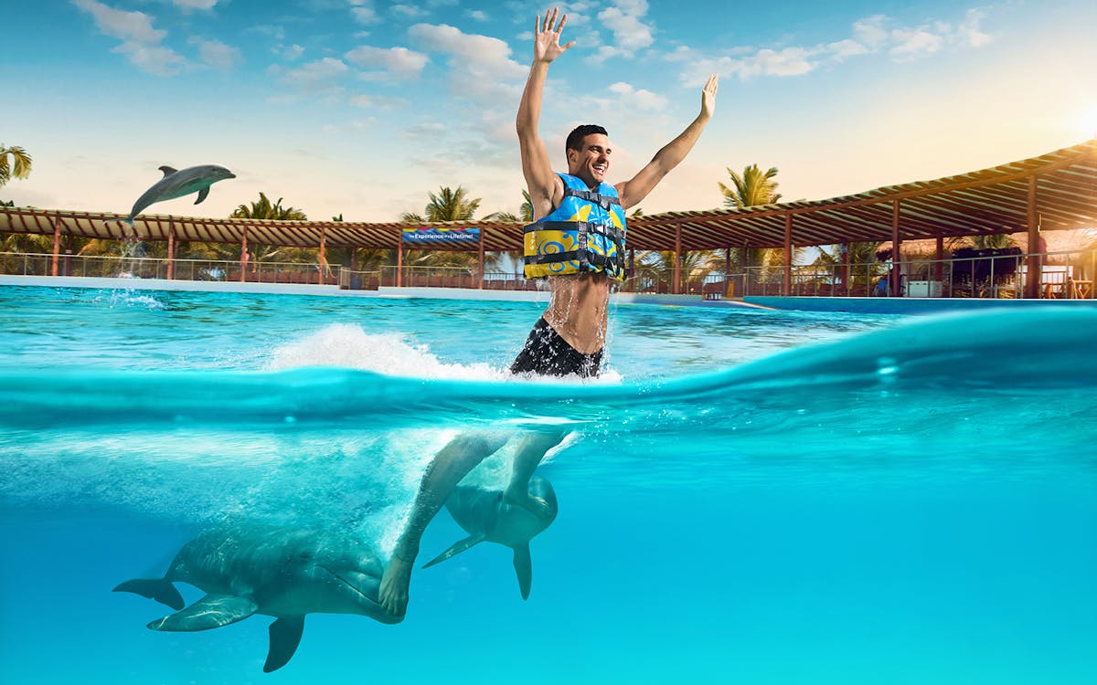 playa del carmen: dolphin royal swim with traditional meals-7 playa del carmen: dolphin royal swim with traditional meals-7