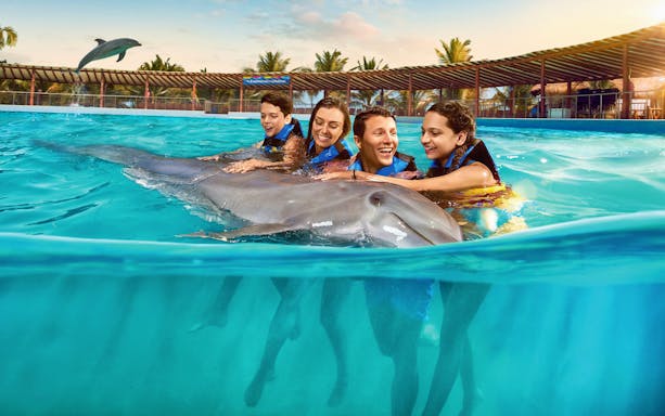 Group swimming with dolphin in Playa del Carmen pool.