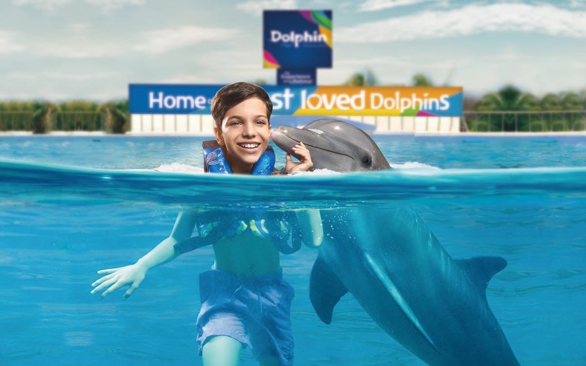 playa del carmen: dolphin swim adventure with traditional meals-6 playa del carmen: dolphin swim adventure with traditional meals-6
