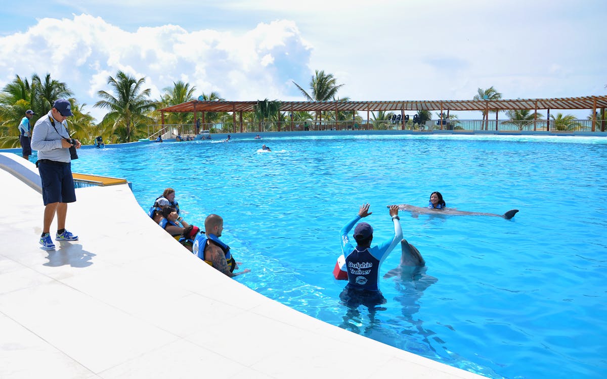 playa del carmen: dolphin swim adventure with traditional meals-7 playa del carmen: dolphin swim adventure with traditional meals-7
