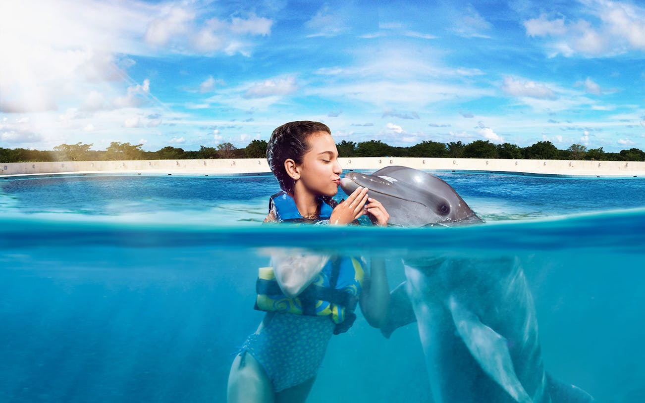 Person swimming with a dolphin in Playa del Carmen.