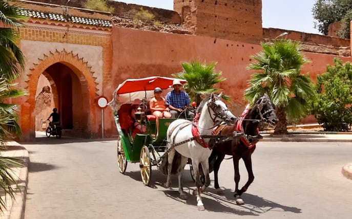 Carriage ride through Marrakesh near Majorelle and Menara Gardens.