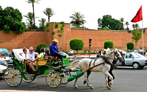 Horse-drawn carriage tour near Marrakesh's historic walls, en route to Majorelle and Menara Gardens.